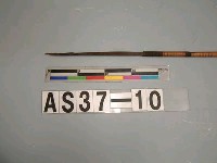 藏品(單鏃木箭)的圖片